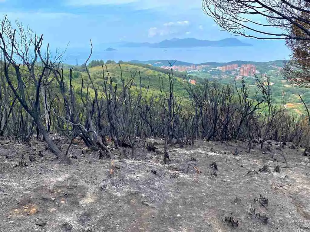 Antincendio boschivo 2022 01 - CRI Donoratico